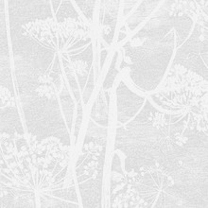 Cole & Son Wallcovering Cow Parsley White