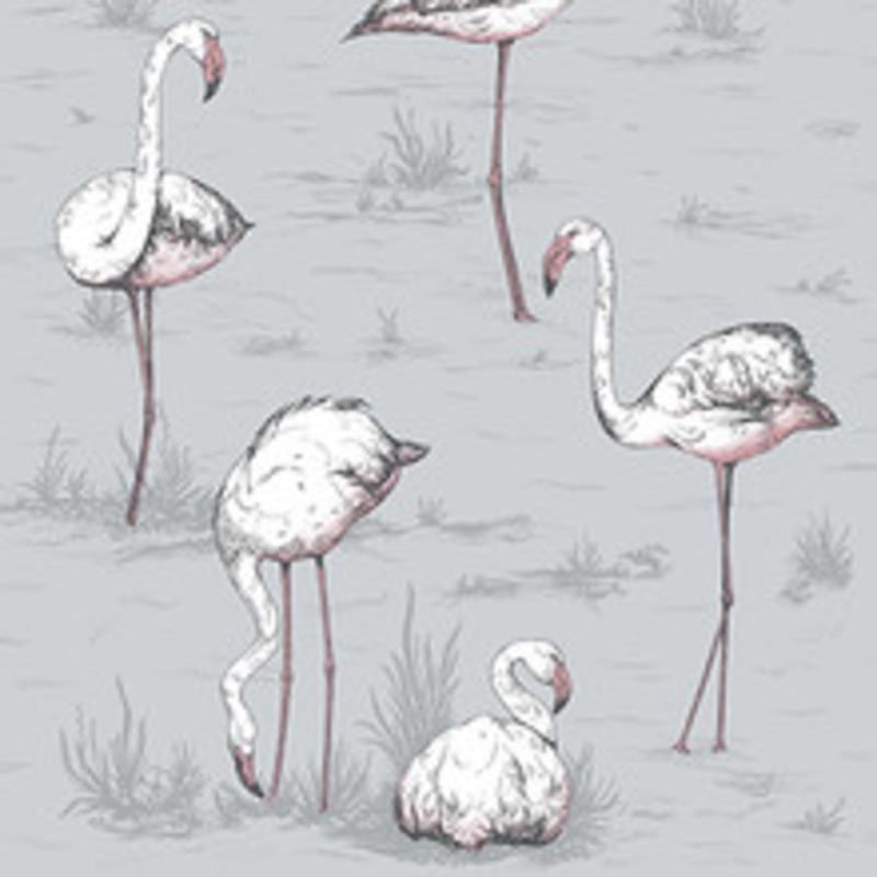Cole & Son Wallcovering Flamingos Grey