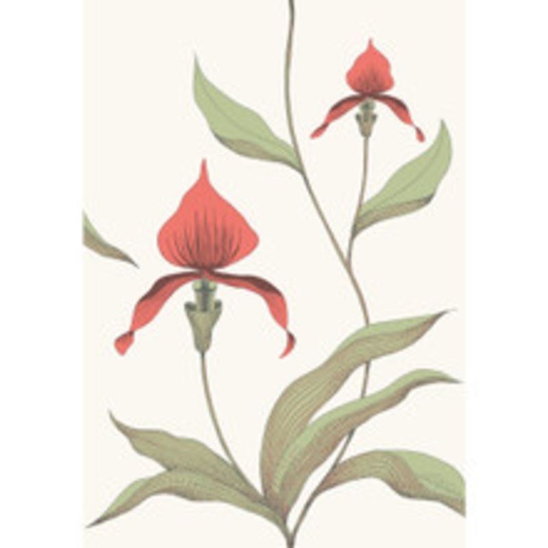 Cole & Son Wallcovering Orchid Red/White