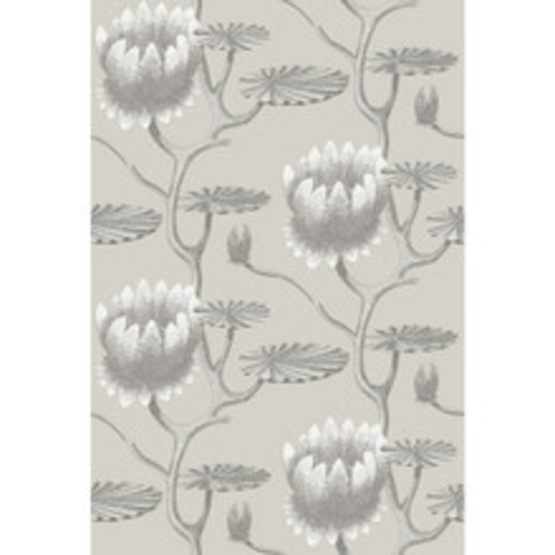Cole & Son Wallcovering Summer Lily Taupe/White