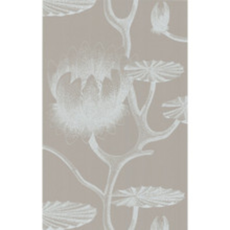 Cole & Son Wallcovering Lily White/Grey