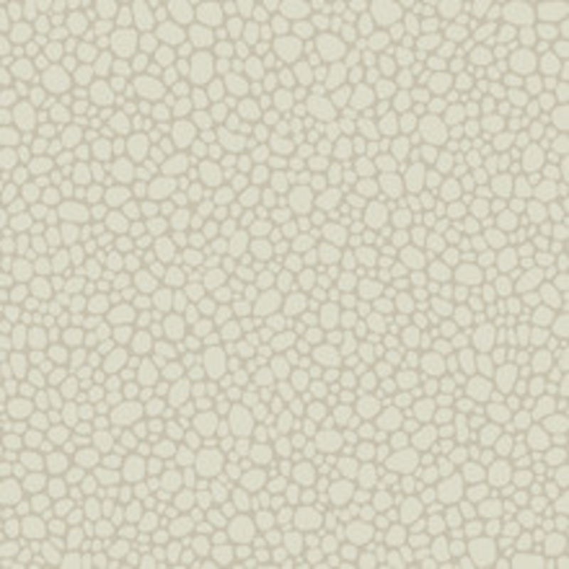 Cole & Son Wallcovering Pebble Stone
