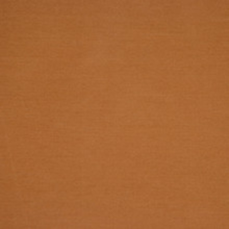 RM CoCo Fabric Gleam Butterscotch