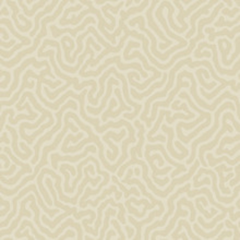 Cole & Son Wallcovering Coral Parchment