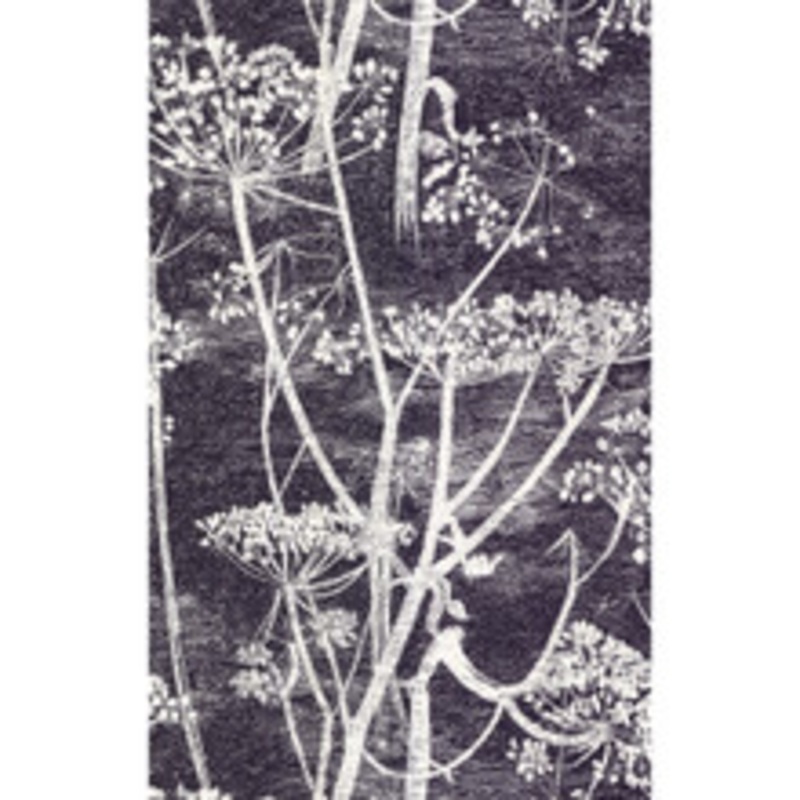Cole & Son Wallcovering Cow Parsley White/Blk