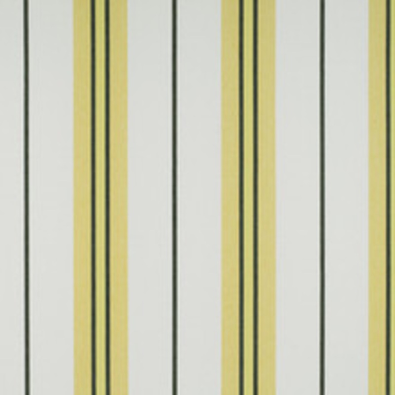 Gaston Y Daniela Fabric Burano Onyx/Amarillo