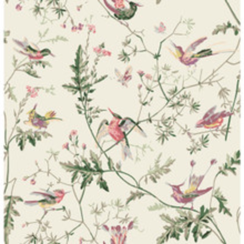 Cole & Son Fabric Hummingbirds Cotton Print Classic Multi