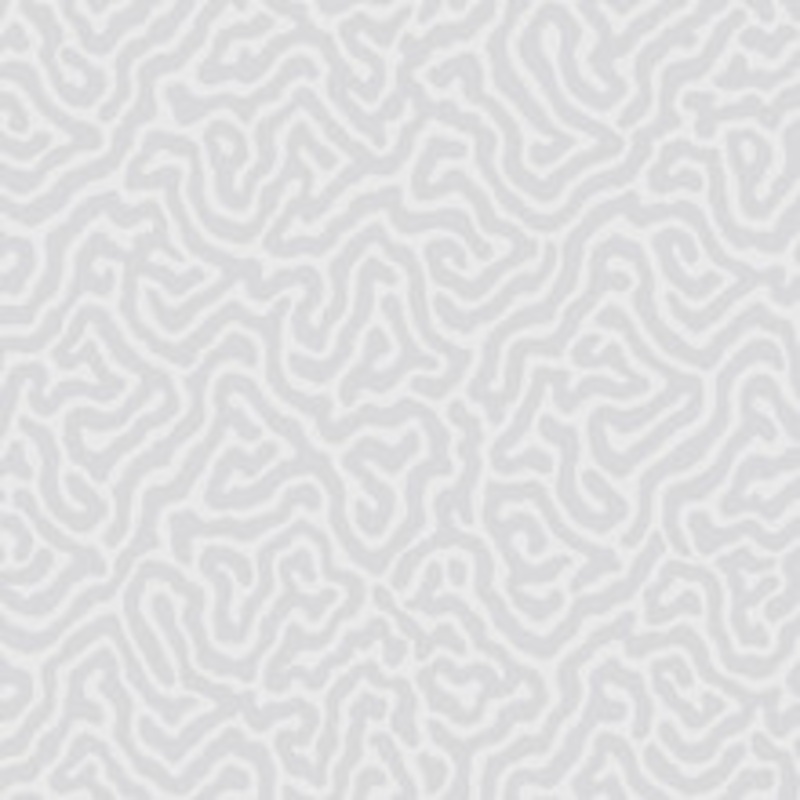 Cole & Son Wallcovering Coral Dove