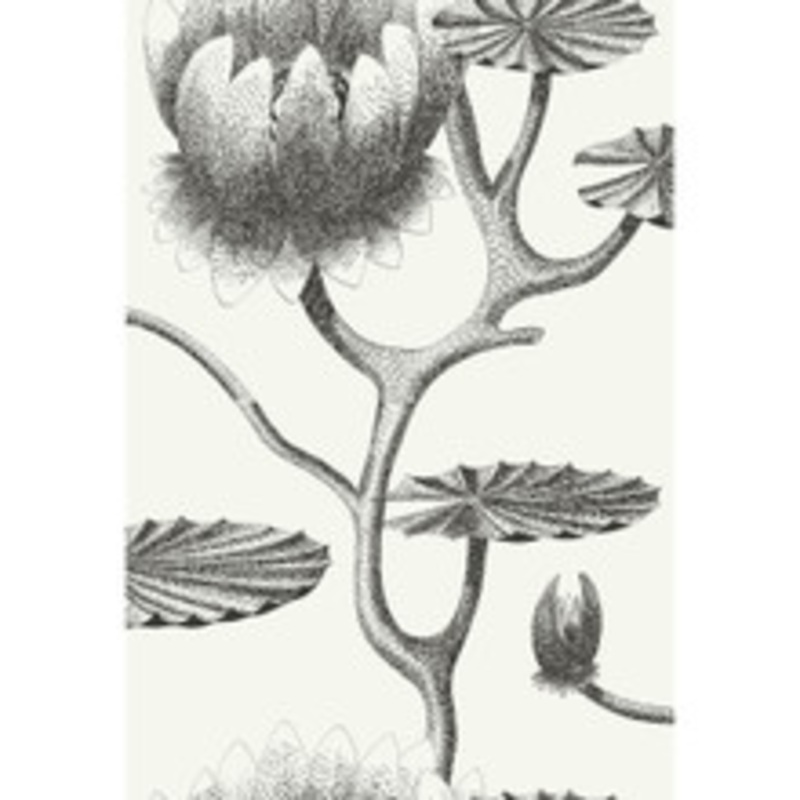 Cole & Son Wallcovering Lily Black/White