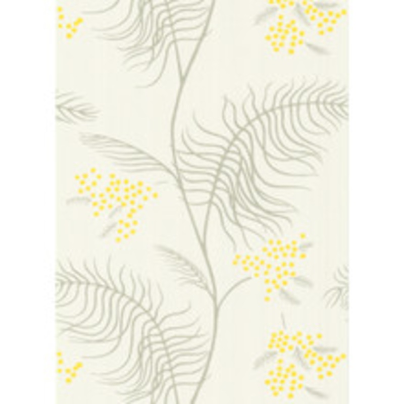 Cole & Son Wallcovering Mimosa White