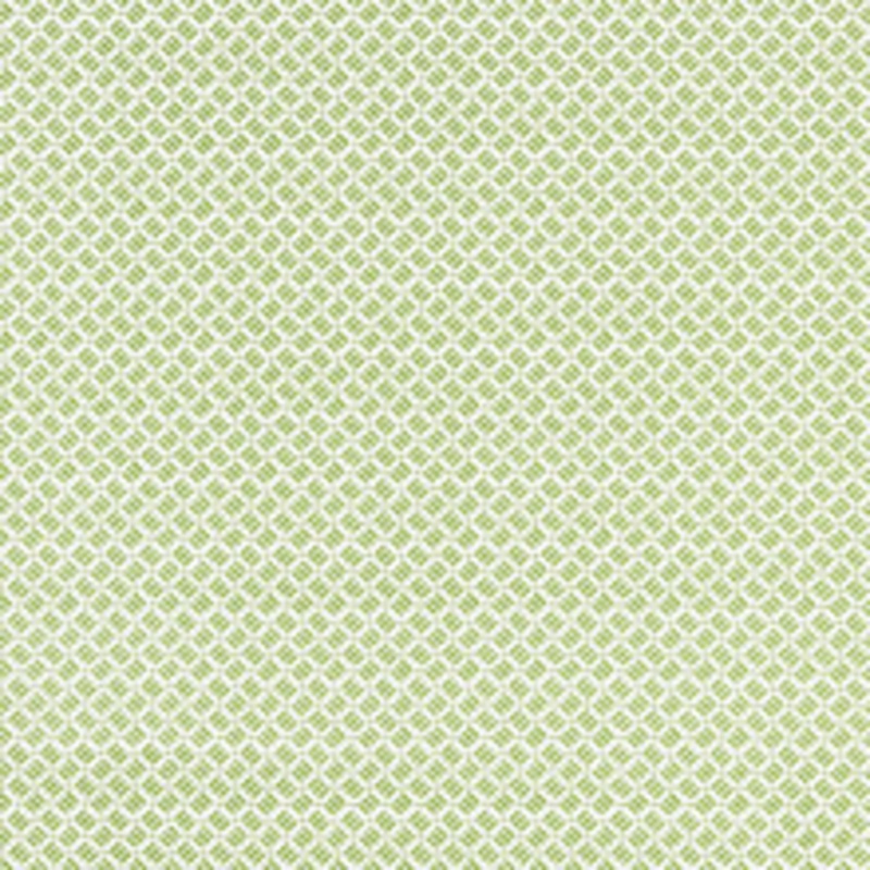 Grey Watkins Fabric Dash & Dot Print/Sugar Snap Gw 000516618