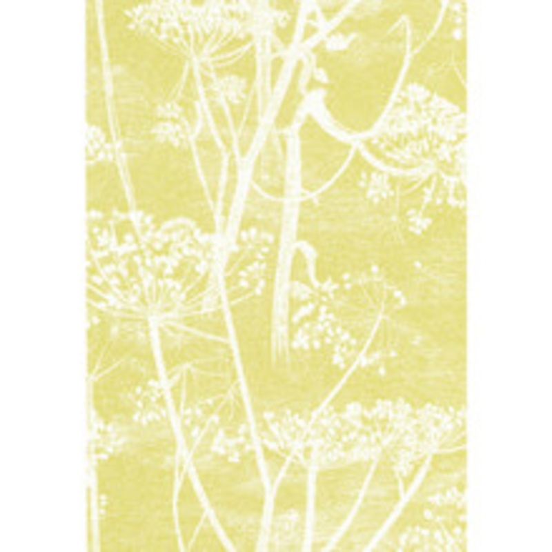 Cole & Son Wallcovering Cow Parsley White/Y