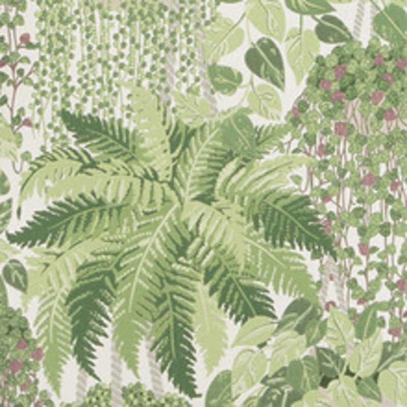 Cole & Son Wallcovering Fern Leaf Green And Olive