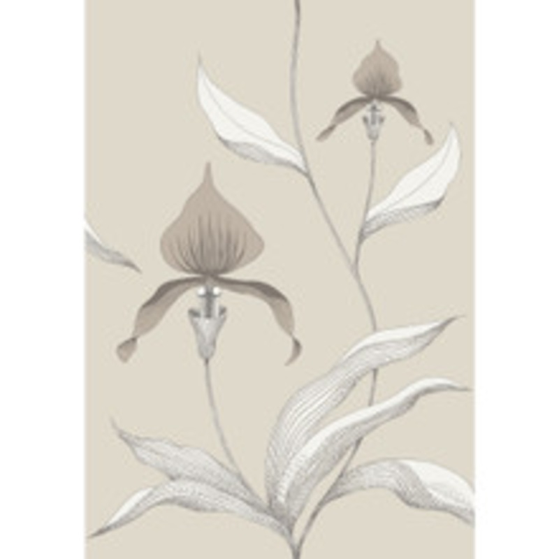 Cole & Son Wallcovering Orchid Linen/White