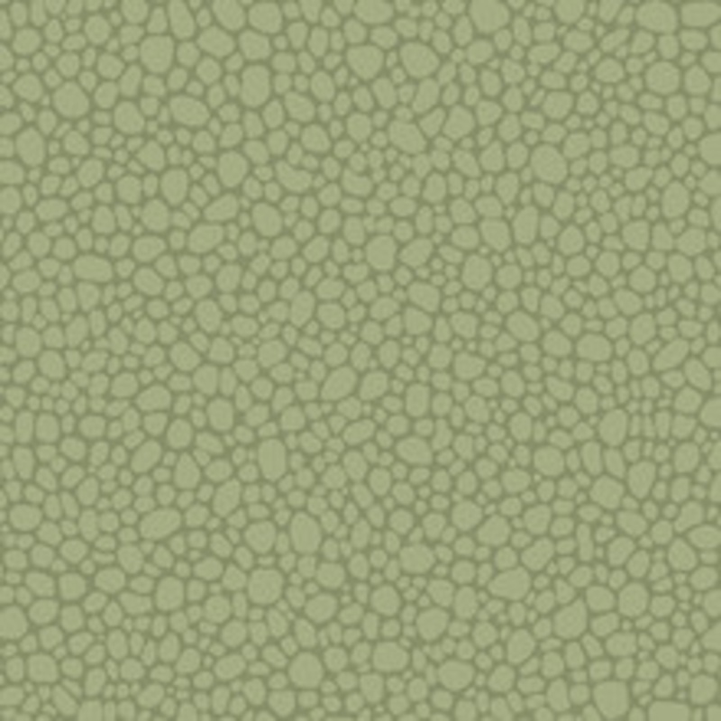 Cole & Son Wallcovering Pebble Dark Olive