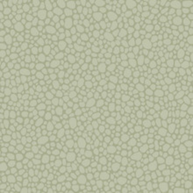Cole & Son Wallcovering Pebble Sage