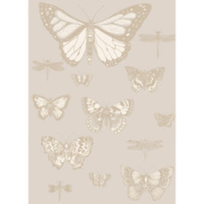 Cole & Son Wallcovering Butterflies & Dragonflies Grey