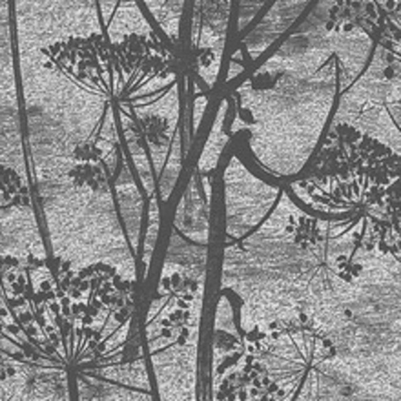 Cole & Son Wallcovering Cow Parsley Charcoal