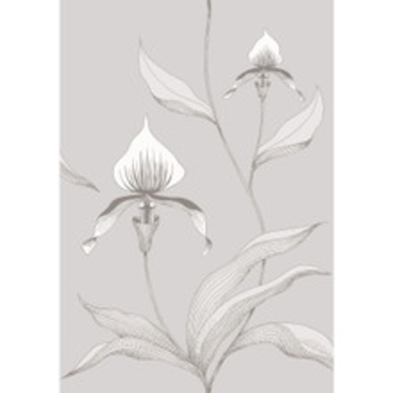 Cole & Son Wallcovering Orchid Grey/White