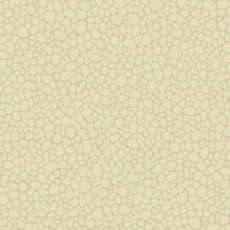 Cole & Son Wallcovering Pebble Cream
