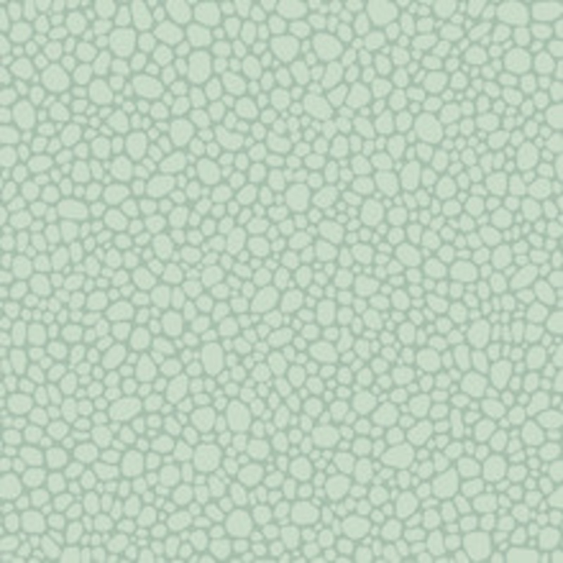 Cole & Son Wallcovering Pebble Print Room Blue