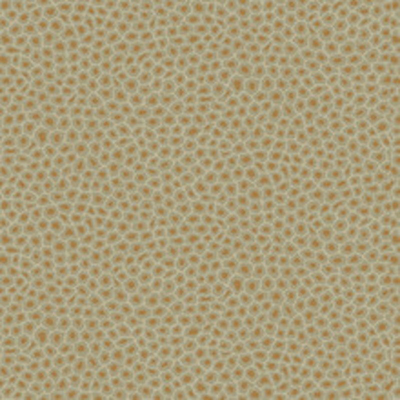 Cole & Son Wallcovering Senzo Spot Olive