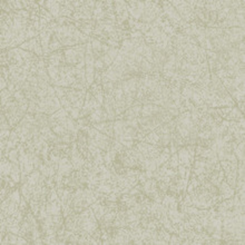 Cole & Son Wallcovering Cordovan Old Olive