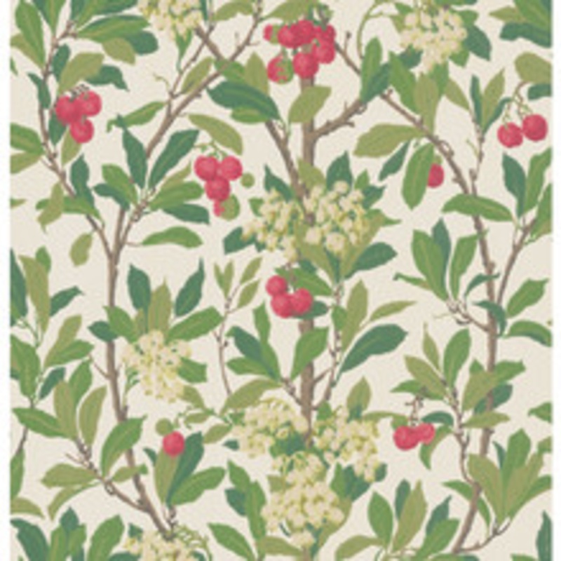 Cole & Son Wallcovering Strawberry Tree Scarlet & Ivory