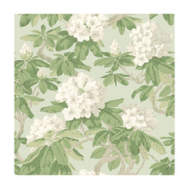 Cole & Son Wallcovering Bourlie Duck Egg