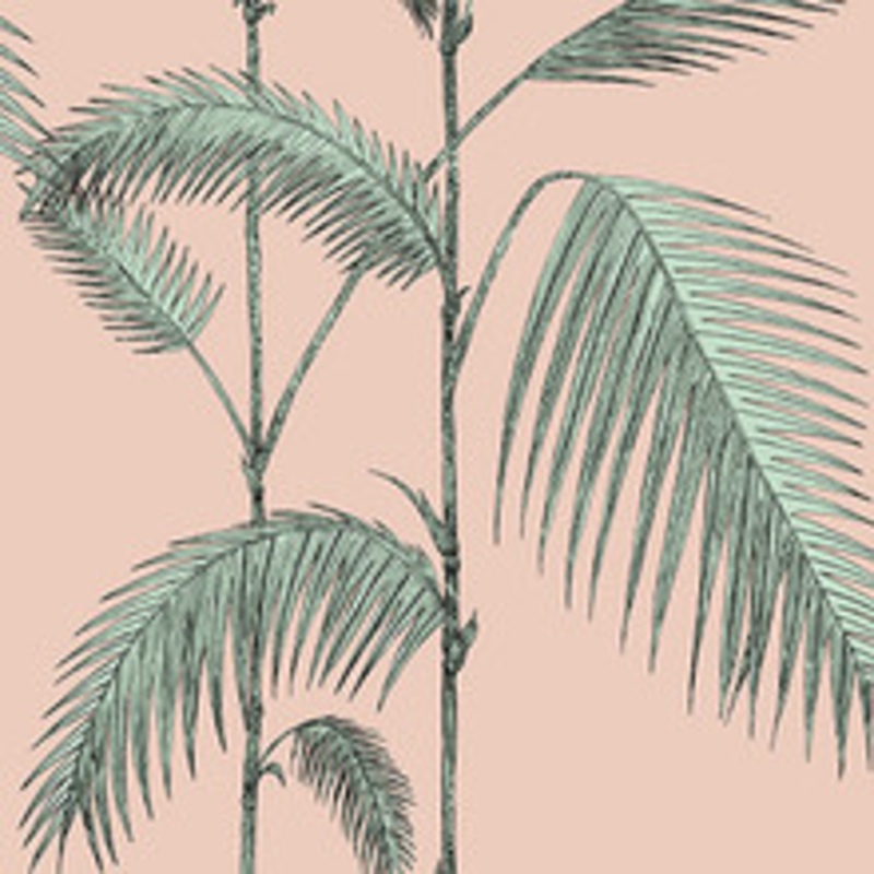 Cole & Son Wallcovering Palm Leaves Plaster Pink/Mint