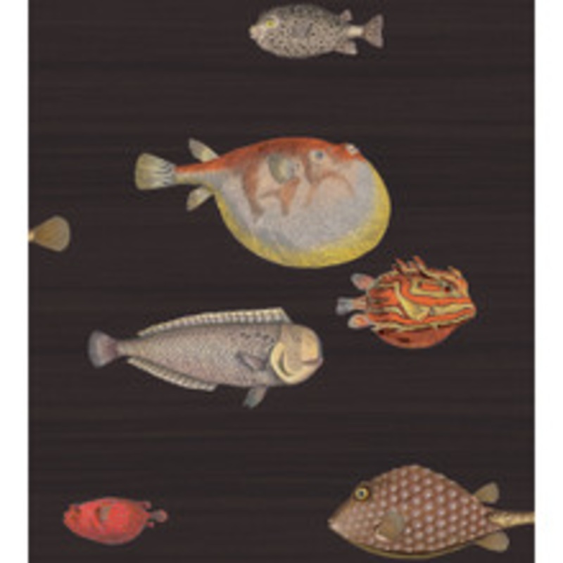 Cole & Son Wallcovering Acquario Black & Mult