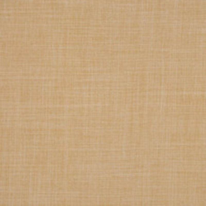 RM CoCo Fabric Gossip Putty