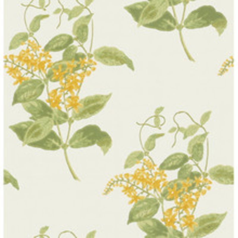 Cole & Son Wallcovering Madras Violet Yellow