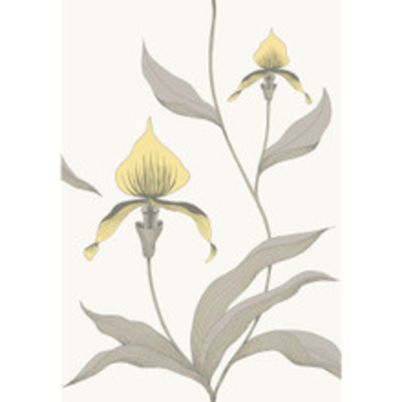 Cole & Son Wallcovering Orchid Yellow/White