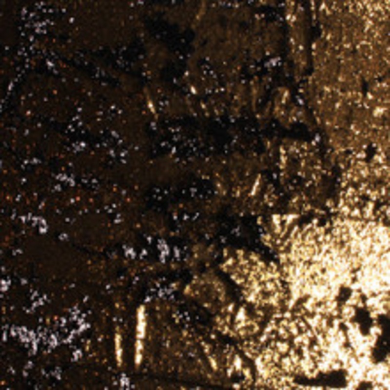 RM CoCo Fabric All that Glitters Gold
