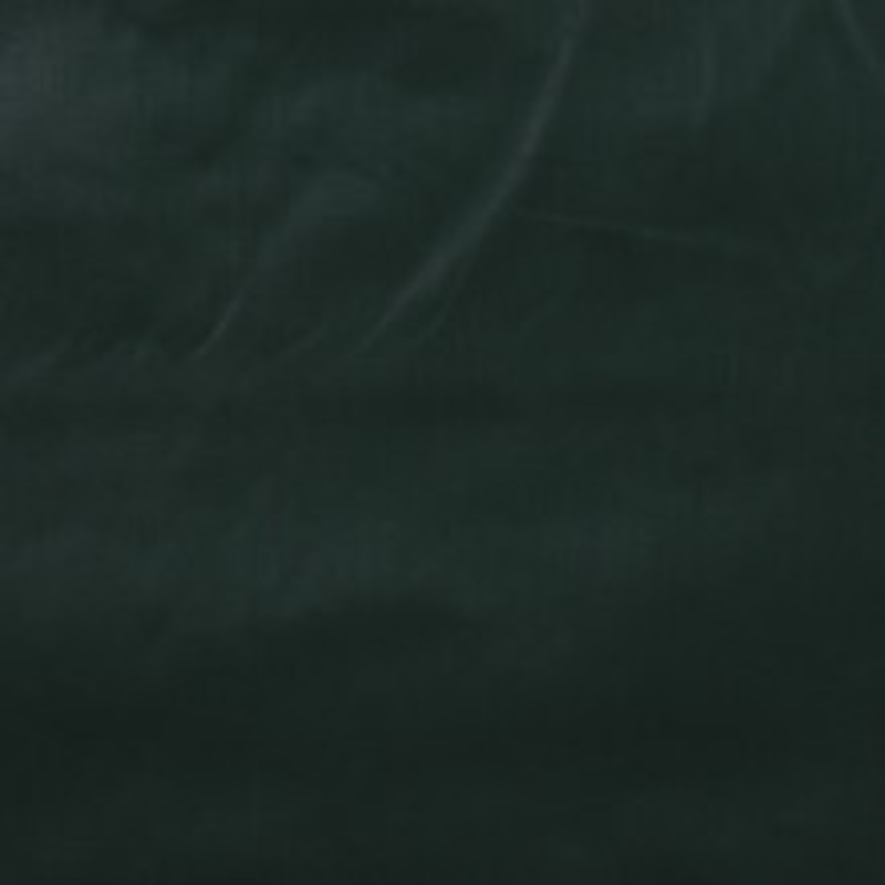 RM CoCo Fabric Glitz Sage