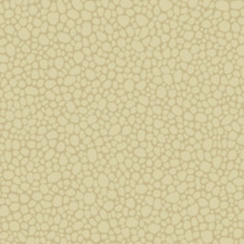 Cole & Son Wallcovering Pebble Latte