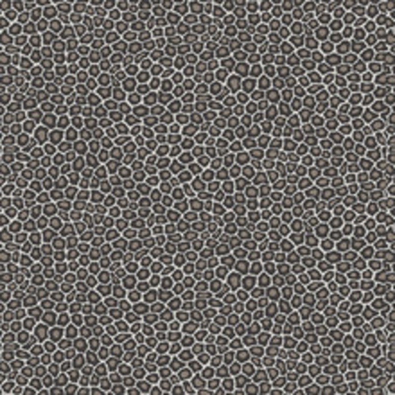 Cole & Son Wallcovering Senzo Spot Black & White