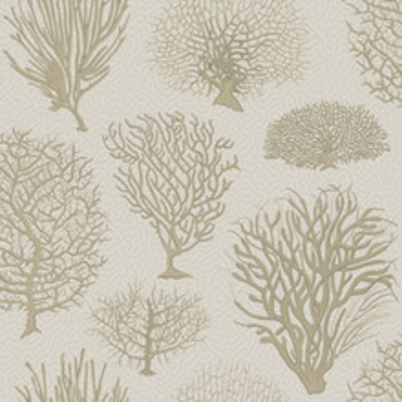 Cole & Son Wallcovering Seafern Stone