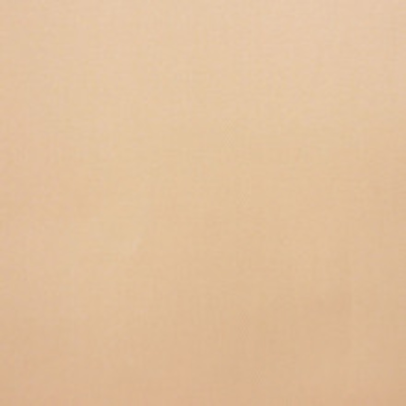 RM CoCo Fabric Platinum Desert Bloom