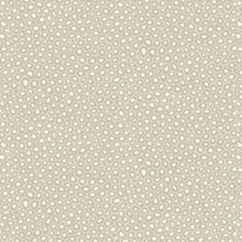 Cole & Son Wallcovering Senzo Spot Stone & White