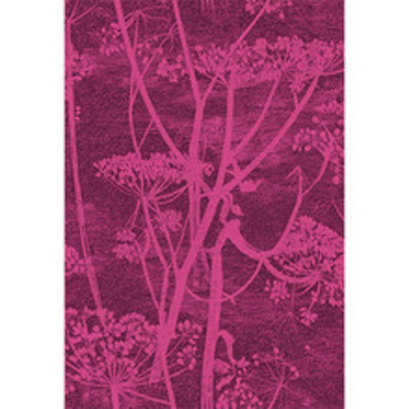Cole & Son Fabric Cow Parsley Magnta Plm
