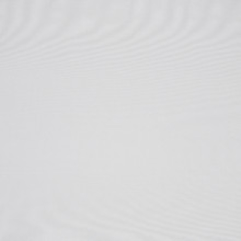 RM CoCo Fabric Des Moines Winter White