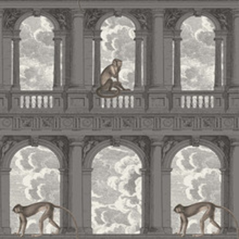 Cole & Son Wallcovering Procuratie Con Vista Soot & Snow