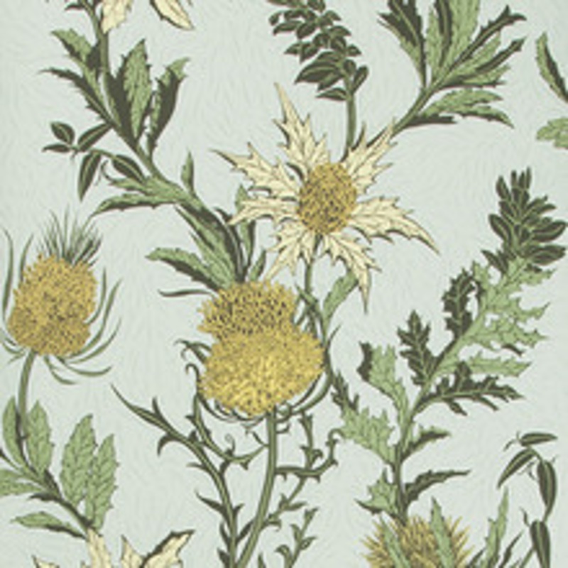 Cole & Son Wallcovering Thistle Lemon/Olive/D Egg
