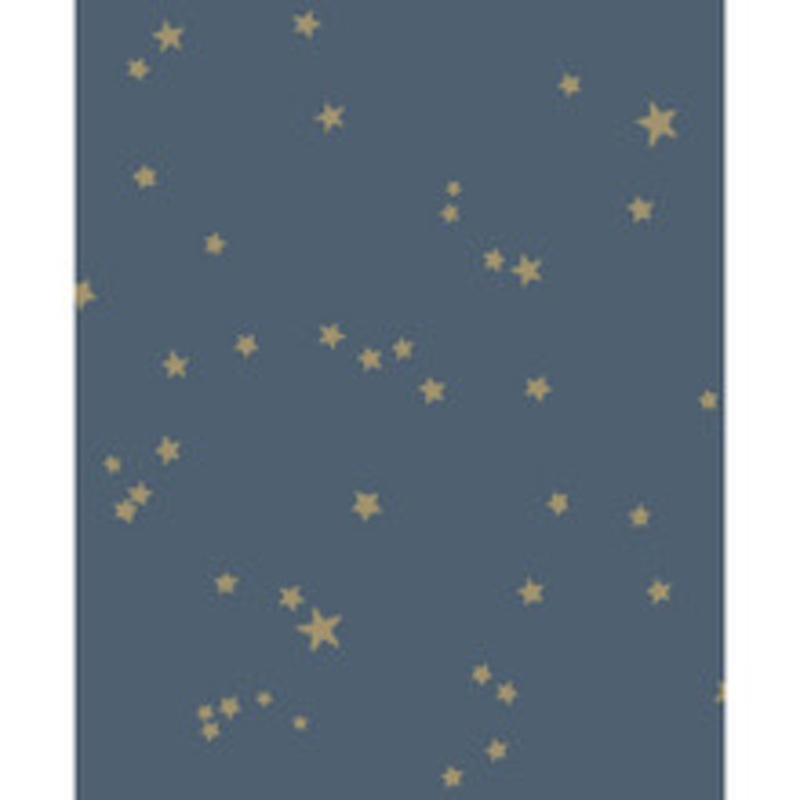 Cole & Son Wallcovering Stars Midnight Blu