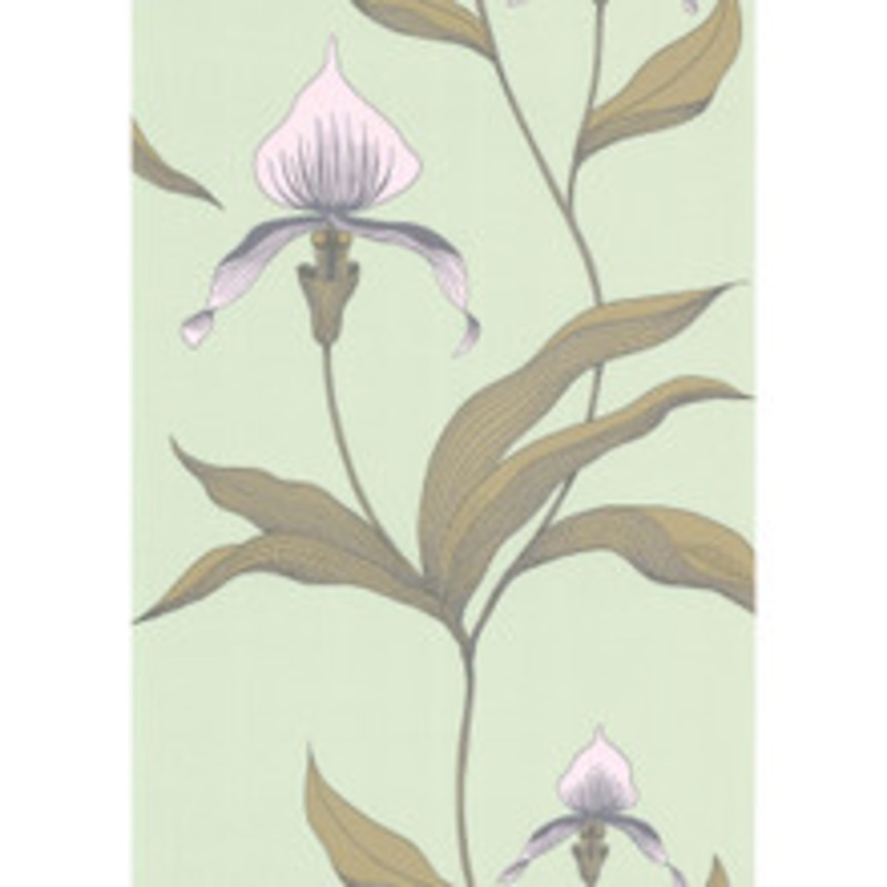 Cole & Son Wallcovering Orchid Pale Gr