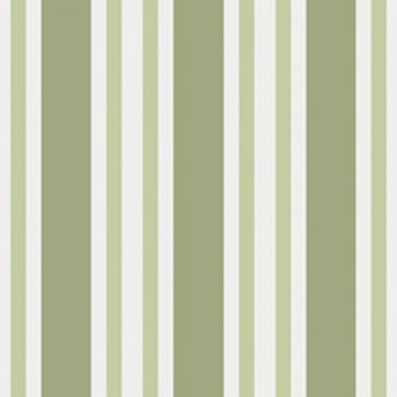 Cole & Son Wallcovering Polo Stripe Leaf Green