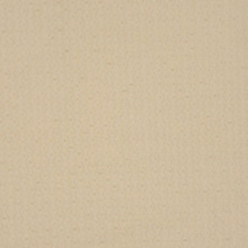 2049CB Champagne by RM CoCo