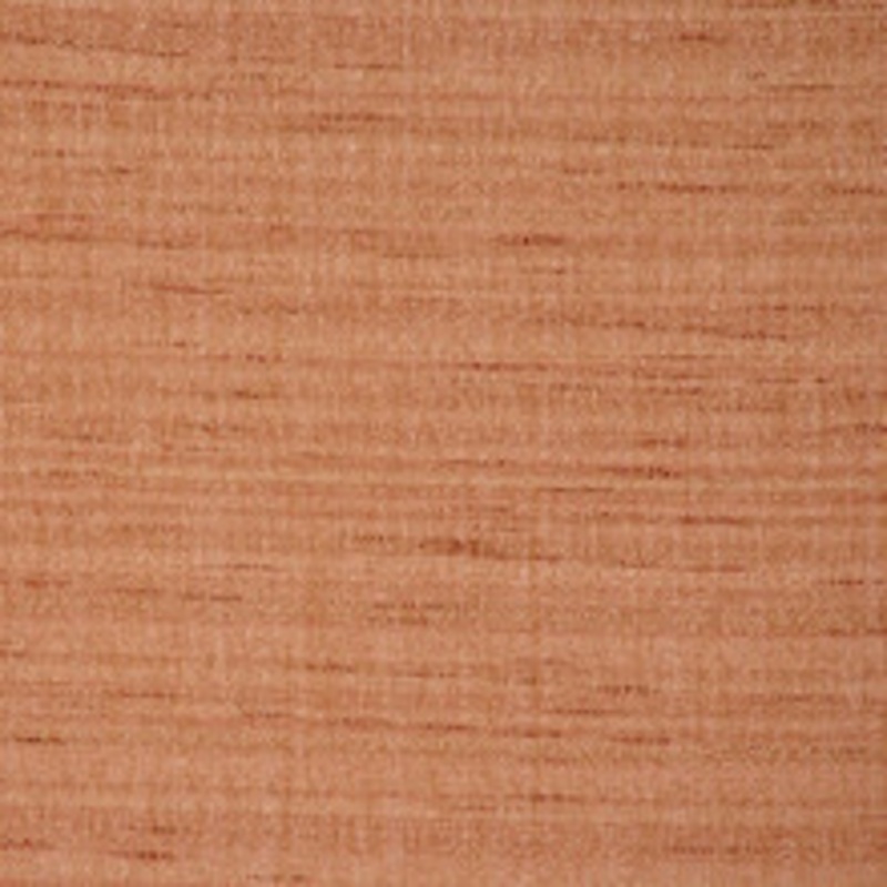 Ever Ginger by RM CoCo